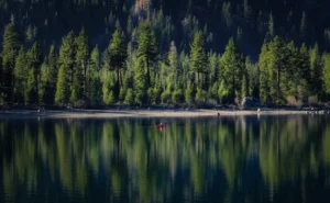 عکاسی پرتره در طبیعت