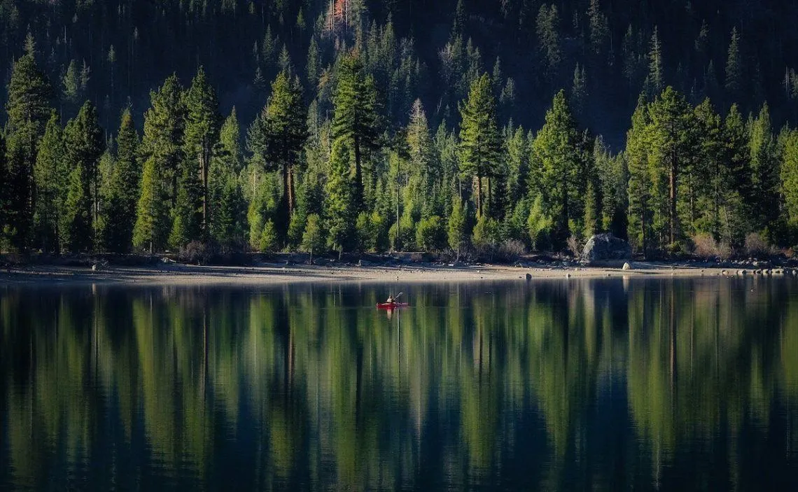 عکاسی پرتره در طبیعت