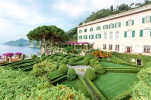 عکاسی حنگل عروسی