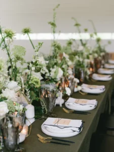 کلیپ فرمالیته عروس